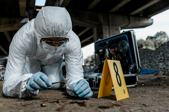 case studies often showcase current issues and challenges facing criminal justice and social science professionals