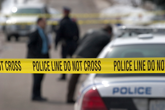 a wide range of educational materials and resources in various fields, including criminal justice and social sciences
